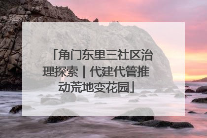 角门东里三社区治理探索｜代建代管推动荒地变花园