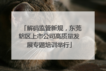 解码监管新规，东莞辖区上市公司高质量发展专题培训举行