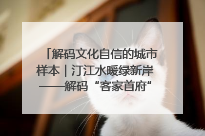 解码文化自信的城市样本｜汀江水暖绿新岸——解码“客家首府”长汀的文化自信样本