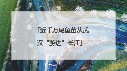 近千万尾鱼苗从武汉“游进”长江