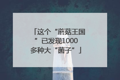 这个“蘑菇王国”已发现1000多种大“菌子”