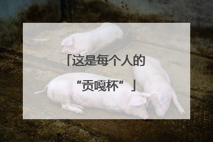 这是每个人的“贡嘎杯”