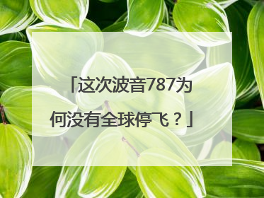 这次波音787为何没有全球停飞？