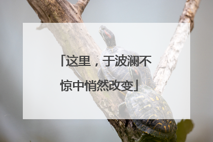 这里，于波澜不惊中悄然改变