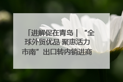 进解促在青岛｜“全球外贸优品 聚惠活力市南”出口转内销进商超专场活动启动