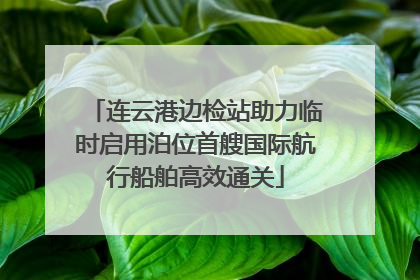 连云港边检站助力临时启用泊位首艘国际航行船舶高效通关