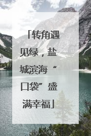转角遇见绿，盐城滨海“口袋”盛满幸福