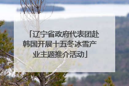 辽宁省政府代表团赴韩国开展十五冬冰雪产业主题推介活动