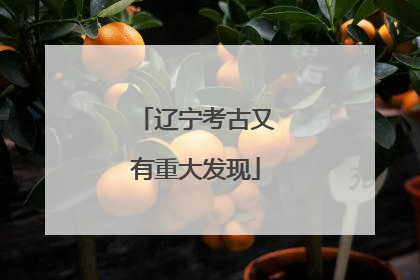 辽宁考古又有重大发现