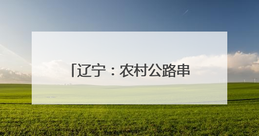 辽宁：农村公路串联起群众致富希望