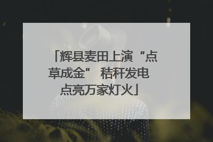 辉县麦田上演“点草成金” 秸秆发电点亮万家灯火