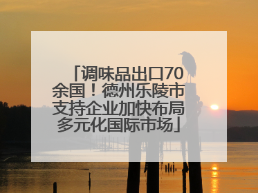 调味品出口70余国！德州乐陵市支持企业加快布局多元化国际市场