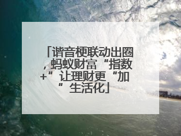 谐音梗联动出圈，蚂蚁财富“指数+”让理财更“加”生活化