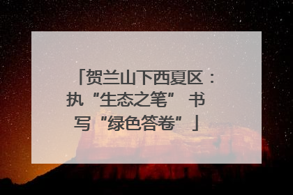 贺兰山下西夏区：执“生态之笔” 书写“绿色答卷”