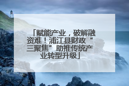 赋能产业，破解融资难！浦江县财政“三聚焦”助推传统产业转型升级