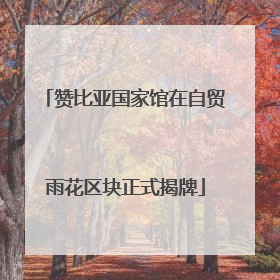 赞比亚国家馆在自贸雨花区块正式揭牌