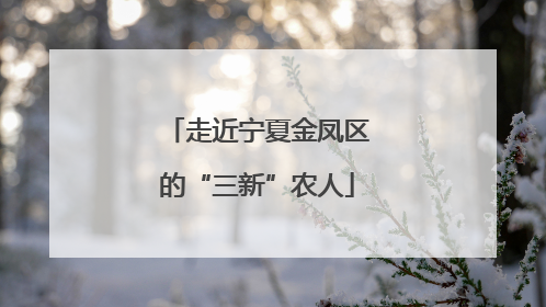 走近宁夏金凤区的“三新”农人
