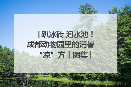 趴冰砖 泡水池！成都动物园里的消暑“凉”方丨图集