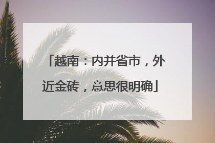 越南：内并省市，外近金砖，意思很明确