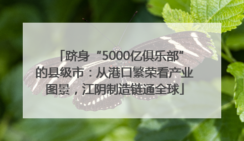 跻身“5000亿俱乐部”的县级市：从港口繁荣看产业图景，江阴制造链通全球