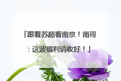 跟着苏超看南京！南哥：这波福利请收好！