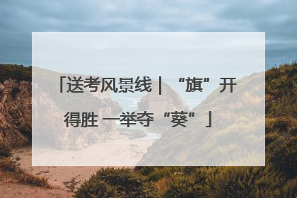 送考风景线｜“旗”开得胜 一举夺“葵”