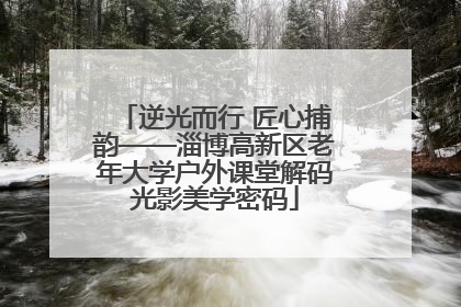 逆光而行 匠心捕韵——淄博高新区老年大学户外课堂解码光影美学密码