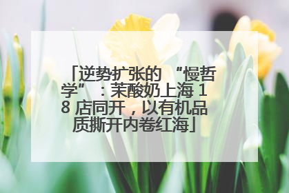 逆势扩张的 “慢哲学”：茉酸奶上海 18 店同开，以有机品质撕开内卷红海