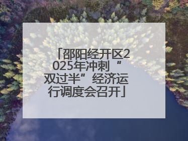 邵阳经开区2025年冲刺“双过半”经济运行调度会召开