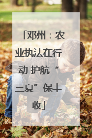 邓州：农业执法在行动 护航“三夏”保丰收
