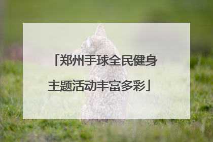 郑州手球全民健身主题活动丰富多彩