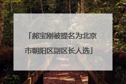 郝宝刚被提名为北京市朝阳区副区长人选