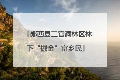 郧西县三官洞林区林下“掘金”富乡民