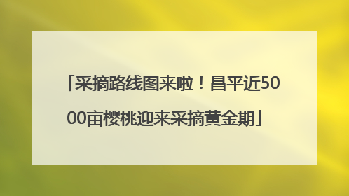 采摘路线图来啦！昌平近5000亩樱桃迎来采摘黄金期