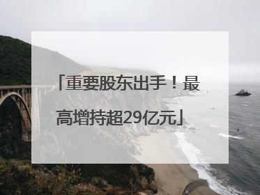 重要股东出手！最高增持超29亿元