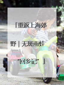 重返上海郊野｜无斑雨蛙“回乡记”