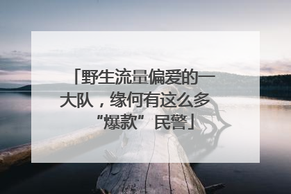 野生流量偏爱的一大队，缘何有这么多“爆款”民警