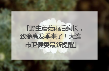 野生蘑菇雨后疯长，致命高发季来了！大连市卫健委最新提醒