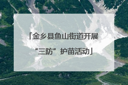 金乡县鱼山街道开展“三防”护苗活动