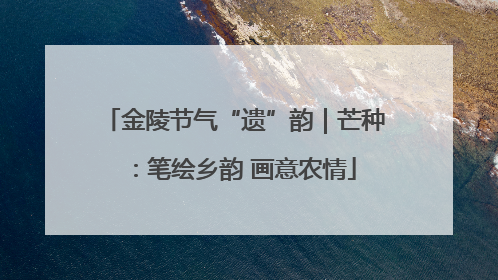 金陵节气“遗”韵｜芒种：笔绘乡韵 画意农情