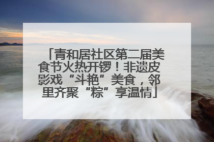 青和居社区第二届美食节火热开锣！非遗皮影戏“斗艳”美食，邻里齐聚“粽”享温情