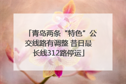 青岛两条“特色”公交线路有调整 昔日最长线312路停运