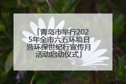 青岛市举行2025年全市六五环境日暨环保世纪行宣传月活动启动仪式