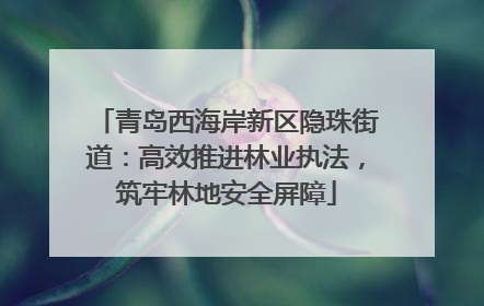 青岛西海岸新区隐珠街道：高效推进林业执法，筑牢林地安全屏障