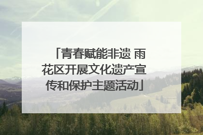 青春赋能非遗 雨花区开展文化遗产宣传和保护主题活动