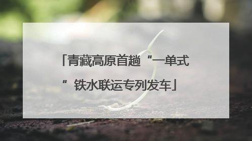 青藏高原首趟“一单式”铁水联运专列发车