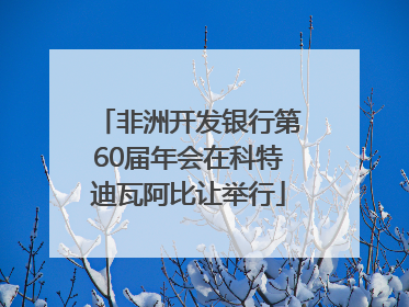 非洲开发银行第60届年会在科特迪瓦阿比让举行