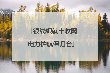 银线织就丰收网 电力护航保归仓