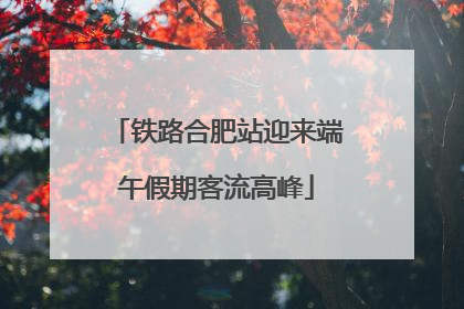 铁路合肥站迎来端午假期客流高峰