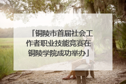 铜陵市首届社会工作者职业技能竞赛在铜陵学院成功举办